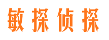 曲麻莱侦探